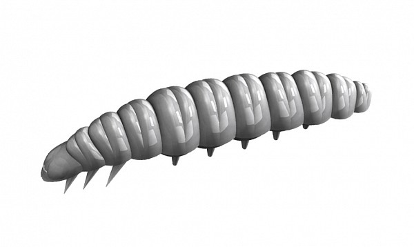  Larva